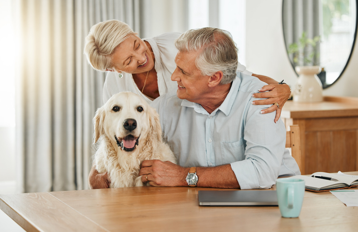 Are Pets Helpful For Senior Citizens? - Seasons Hospice Ok 